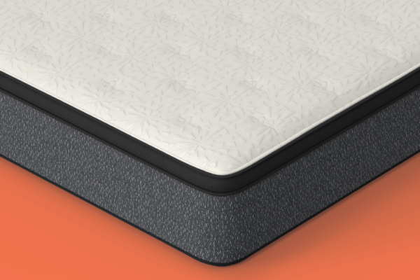 Chiro Comfort - Image 2